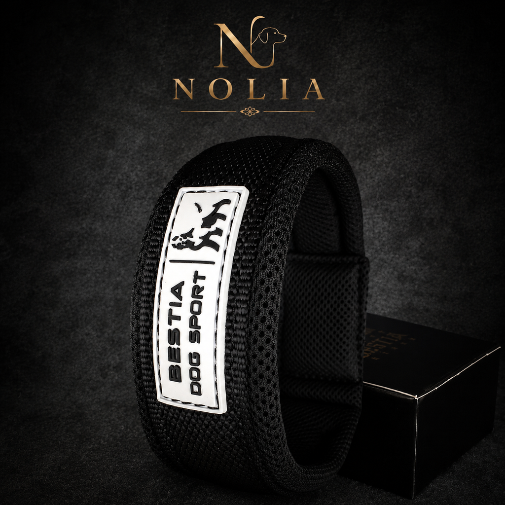 Collier Sport · Verrouillage Rapide Sécurisé — Nolia Performance
