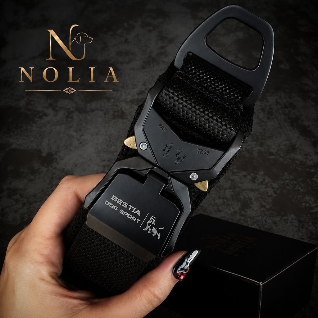 Collier Sport · Verrouillage Rapide Sécurisé — Nolia Performance