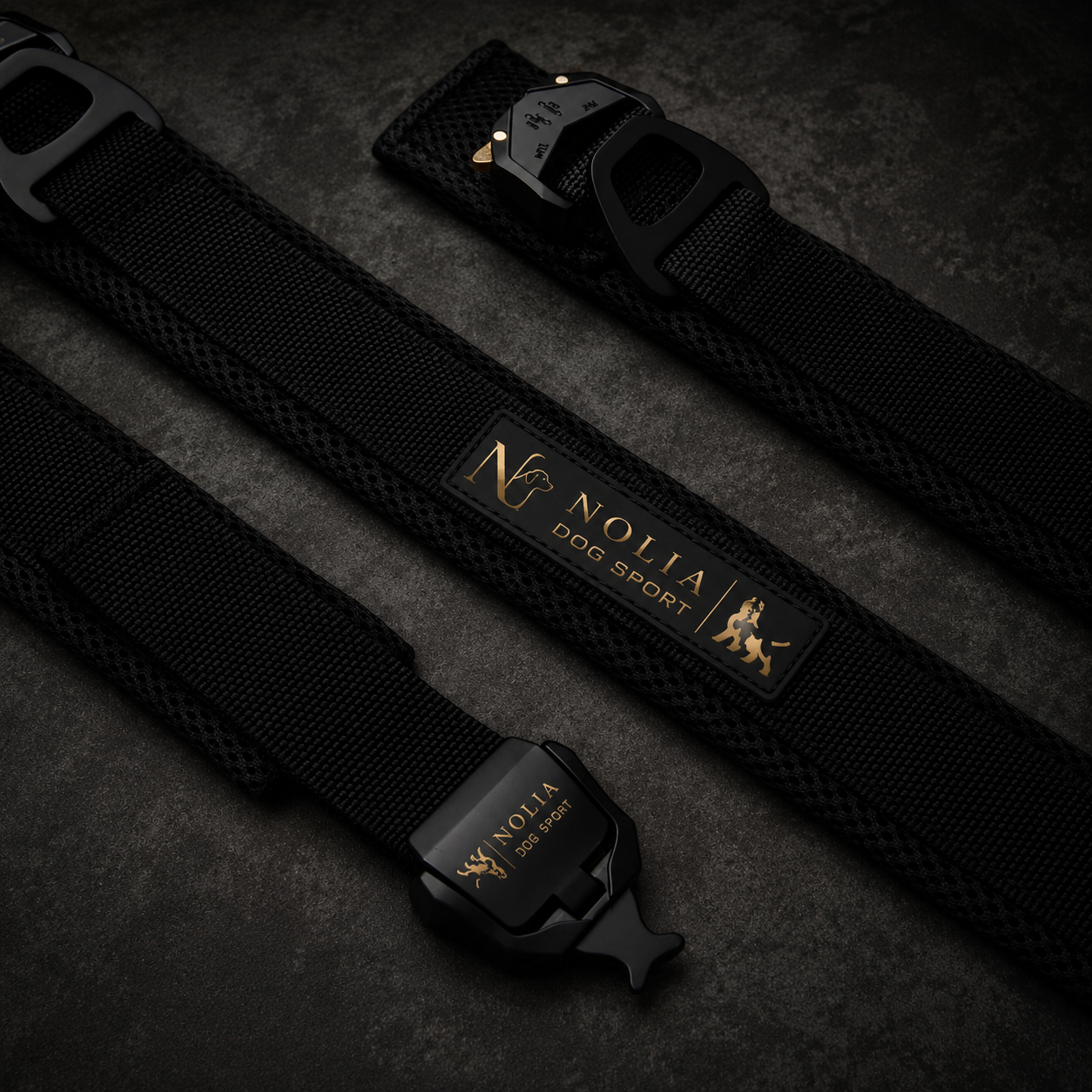 Collier Sport · Verrouillage Rapide Sécurisé — Nolia Performance