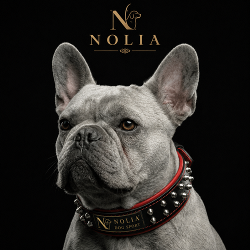 Collier Rocky · Cuir Clouté — Édition Limitée Nolia