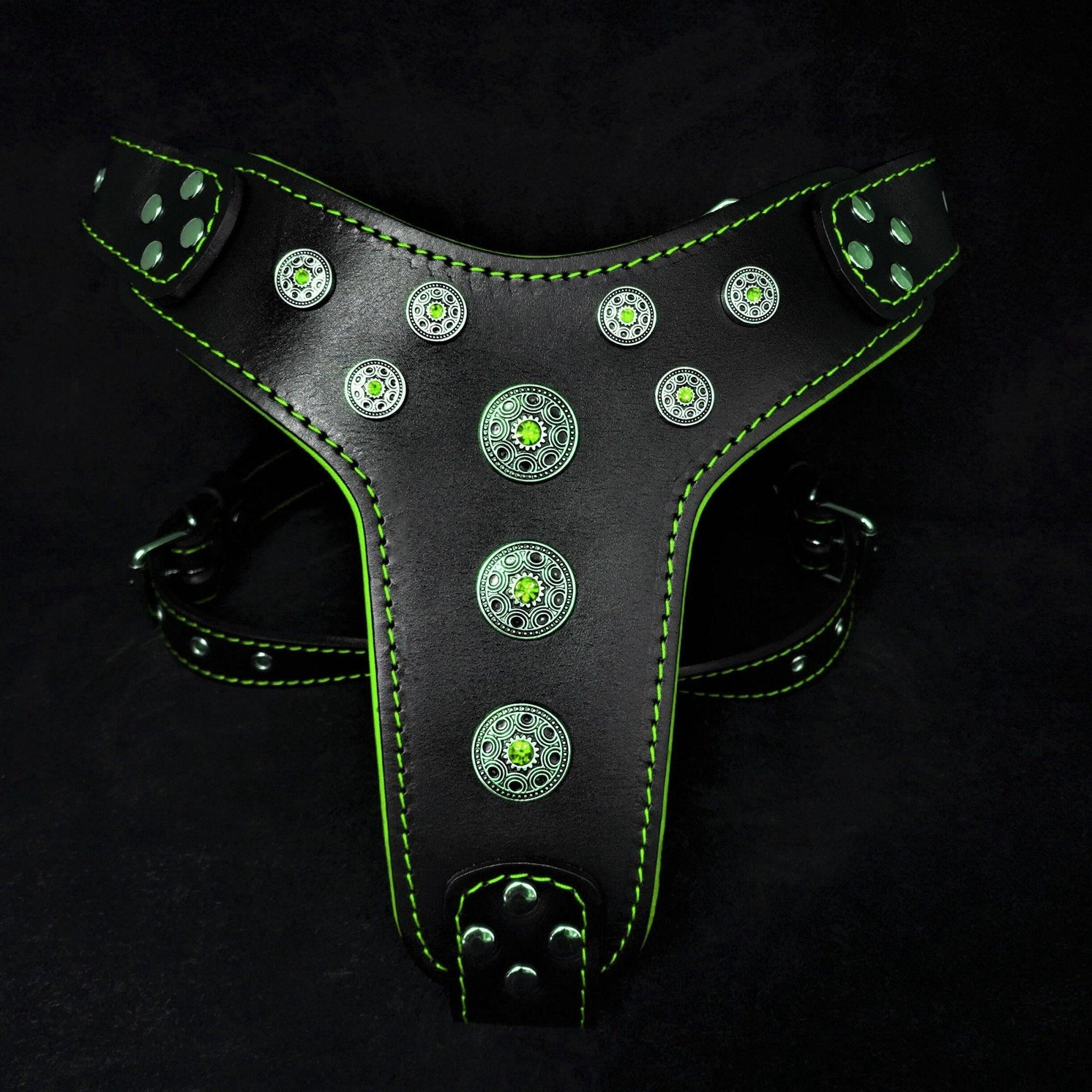💎 Harnais "Bijou" : Le Joyau des Molosses