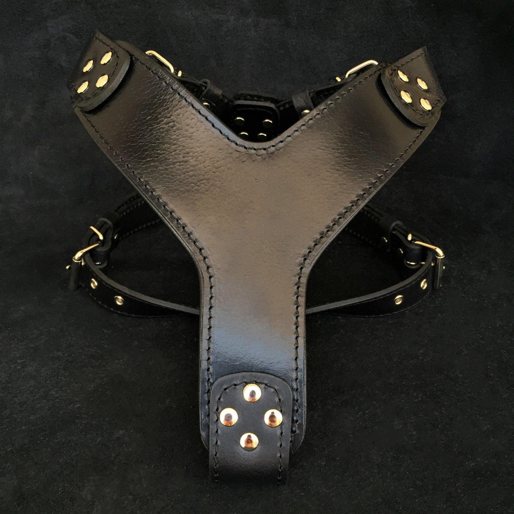 Harnais Style Pro · Cuir Clouté Premium — Chiens Moyens & Grands-0