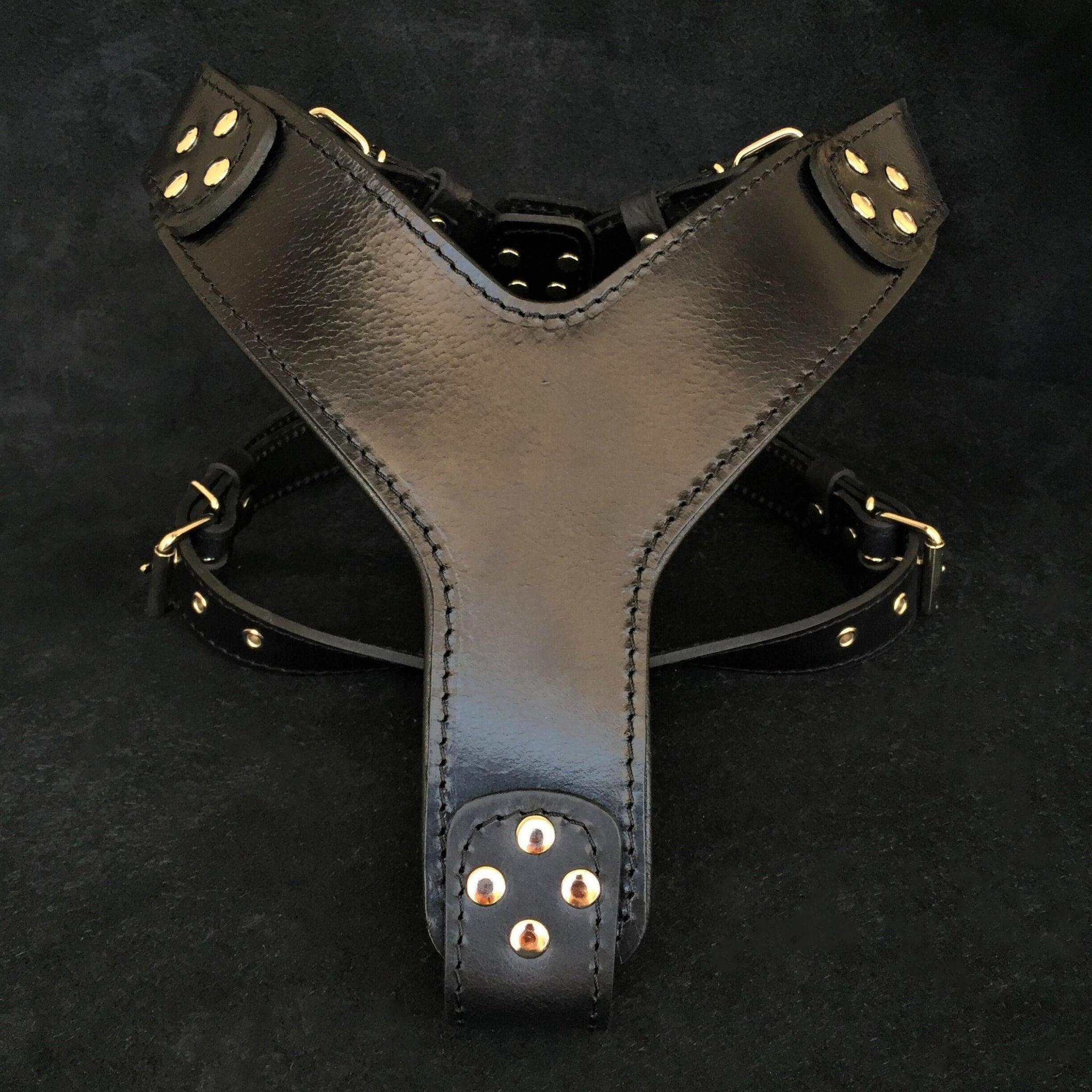 Harnais Style Pro · Cuir Clouté Premium — Chiens Moyens & Grands-0