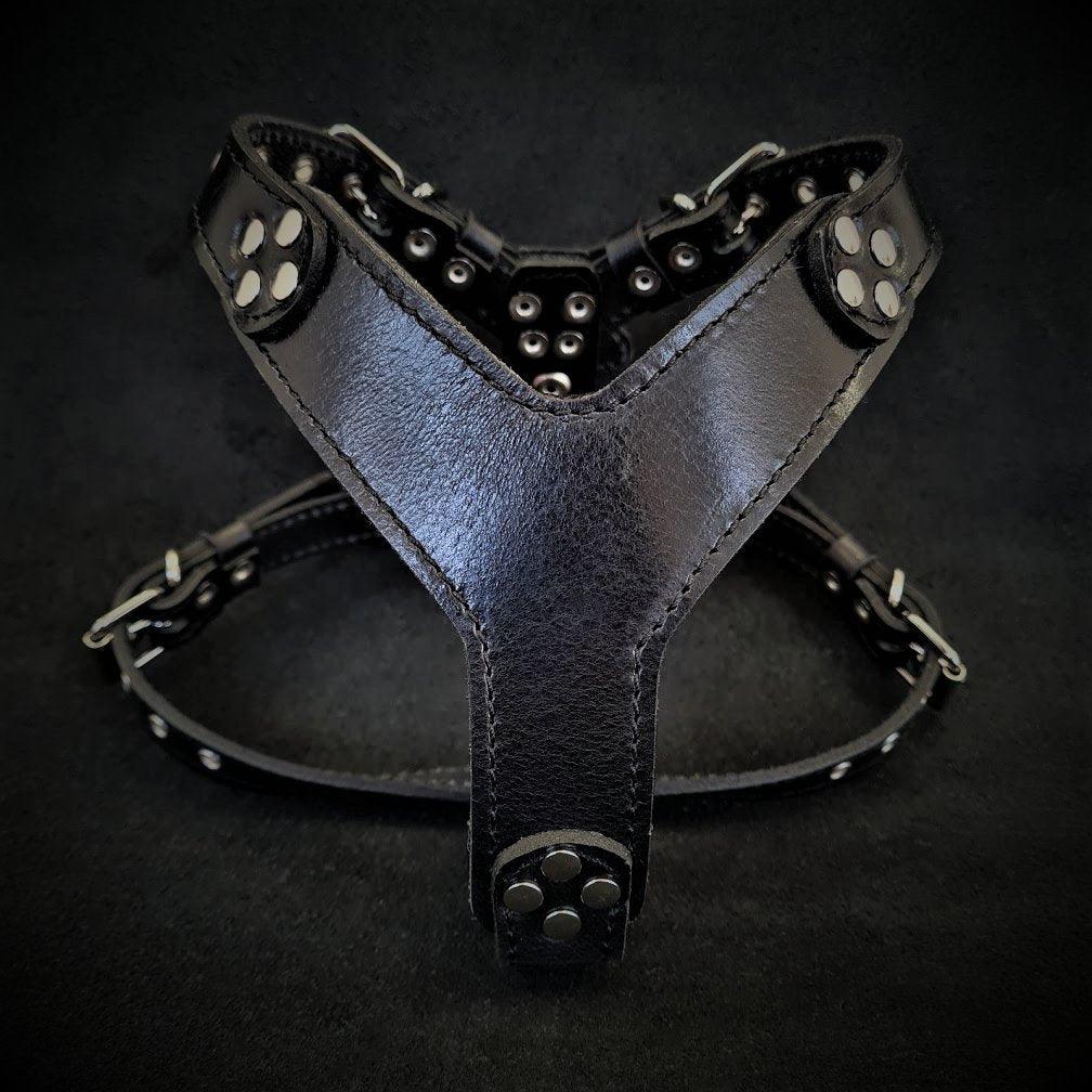 Harnais Style Frenchie · Cuir Clouté Premium — Pour Bouledogue Français-0